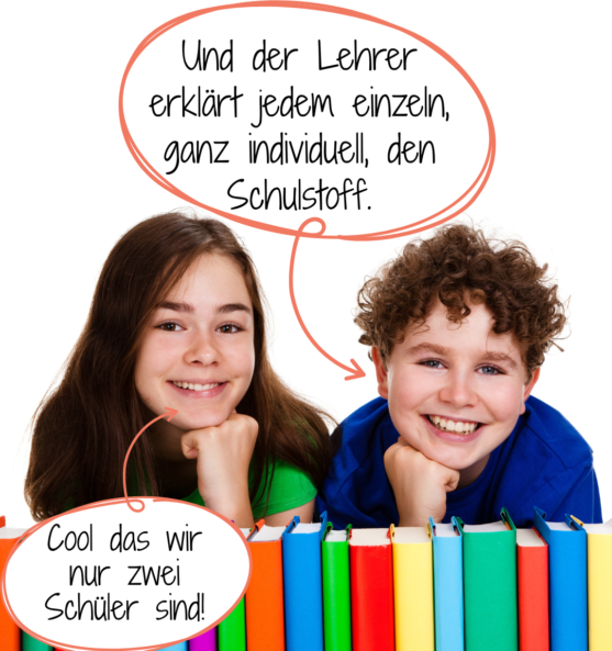 Mathe-Nachhilfe Einzelunterricht oder erfolgreiche Zweiergruppe